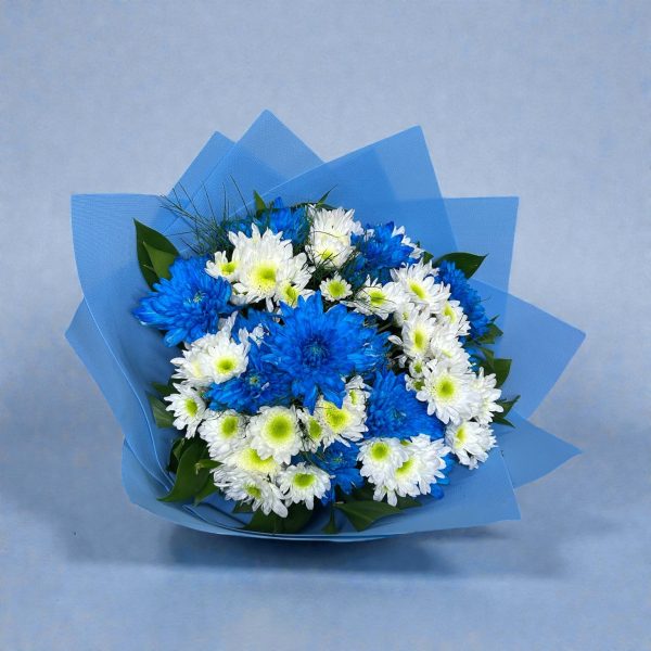 Mavi Beyaz Kasımpatı Papatya