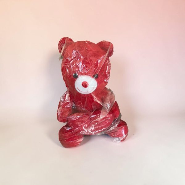 Kırmızı Peluş Ayı